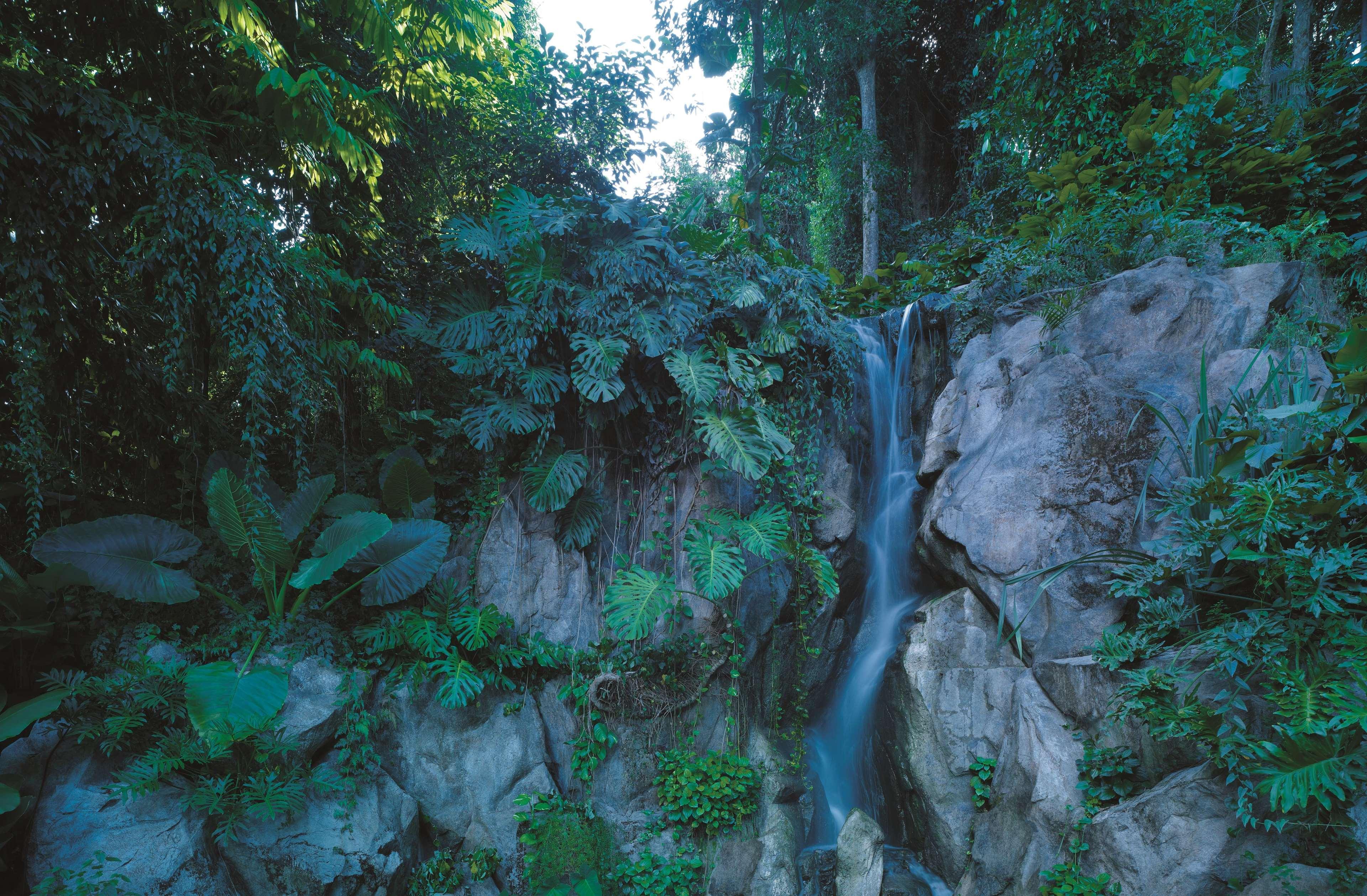 Shangri-La Rasa Sentosa, Singapur Zewnętrze zdjęcie The waterfall at the top of the mountain
